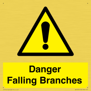 Danger Falling Branches